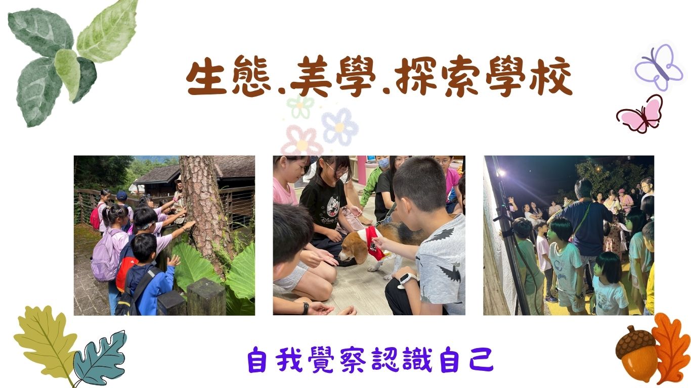 美大林